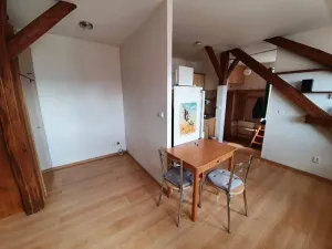 Prodej bytu 1+kk, Jihlava, Mahlerova, 38 m2