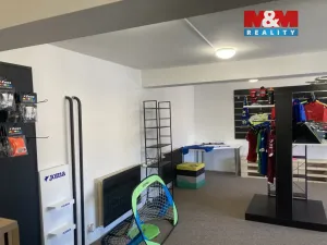 Pronájem kanceláře, Opava, Rybářská, 108 m2