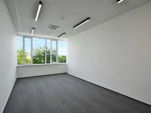 Pronájem kanceláře, Brno, Jana Babáka, 319 m2