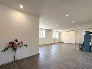 Prodej rodinného domu, Vážany, 220 m2