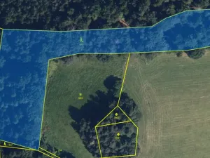 Prodej lesa, Zborov, 9290 m2