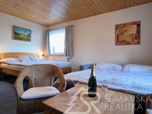 Prodej ubytování, Zdíkov - Nový Dvůr, 750 m2