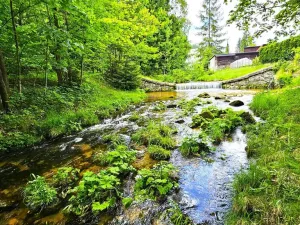 Prodej pozemku, Desná - Desná I, Údolní, 1668 m2