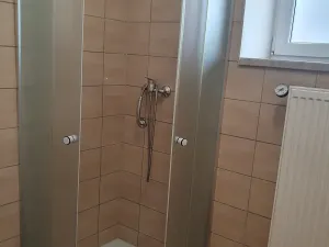 Pronájem výrobních prostor, Bílovice nad Svitavou, Obřanská, 249 m2