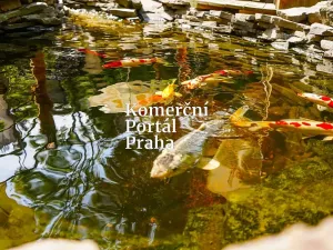 Pronájem restaurace, Praha - Smíchov, Na Václavce, 250 m2