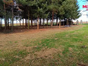 Prodej pozemku pro bydlení, Senožaty, 653 m2