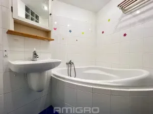 Prodej bytu 2+kk, Brno, Moldavská, 45 m2