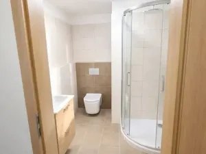 Pronájem bytu 1+kk, Plav, 40 m2