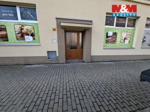 Pronájem bytu 2+1, Písek - Budějovické Předměstí, Mírové nám., 50 m2
