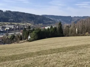 Prodej louky, Ústí nad Orlicí - Kerhartice, 49647 m2