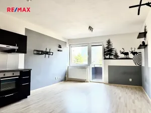 Pronájem bytu 1+kk, Brno, Houbalova, 9573 m2