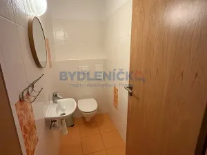 Prodej bytu 1+kk, Lipno nad Vltavou, 51 m2