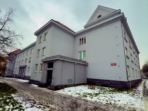 Pronájem bytu 2+kk, Praha - Žižkov, Hořanská, 50 m2