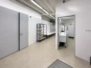 Pronájem obchodního prostoru, Praha - Nusle, Mojmírova, 165 m2