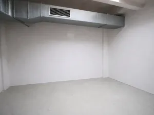 Pronájem obchodního prostoru, Praha - Nusle, Mojmírova, 165 m2