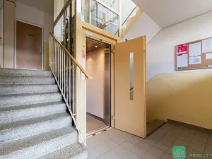 Prodej bytu 1+1, Krupka, Jabloňová, 36 m2