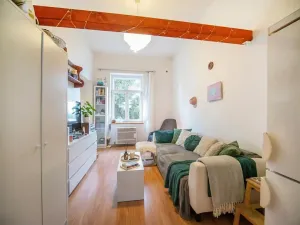 Prodej bytu 2+kk, Mladá Boleslav, S. K. Neumanna, 44 m2