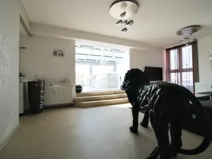 Pronájem bytu 3+kk, Plzeň, Goldscheiderova, 250 m2