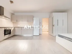 Pronájem bytu 1+kk, Praha - Karlín, Sokolovská, 40 m2