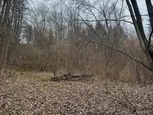 Prodej lesa, Huslenky, 16650 m2