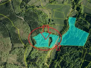 Prodej lesa, Huslenky, 16650 m2