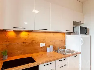 Prodej bytu 1+kk, Praha - Holešovice, Argentinská, 40 m2