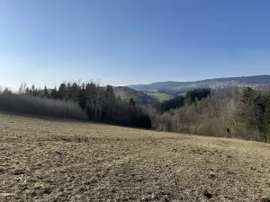 Prodej lesa, Plavy, 32050 m2