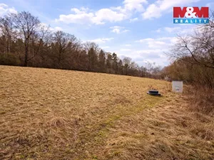 Prodej louky, Křečovice - Vlkonice, 68525 m2