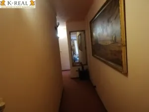 Pronájem bytu 1+kk, Brno - Bosonohy, 22 m2