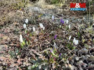 Prodej rodinného domu, Světnov, 273 m2