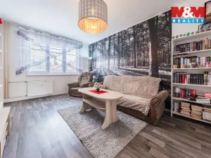 Prodej bytu 2+1, Strakonice - Strakonice II, Alf. Šťastného, 59 m2