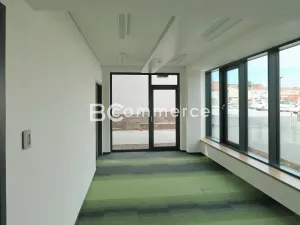 Pronájem obchodního prostoru, Brno, 125 m2