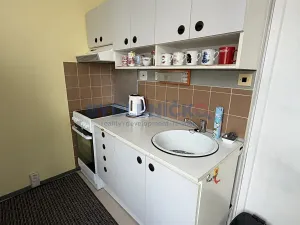 Prodej bytu 1+1, České Budějovice, Prachatická, 31 m2