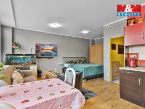 Prodej bytu 1+kk, Liberec - Liberec XXX-Vratislavice nad Nisou, Pivovarská, 34 m2