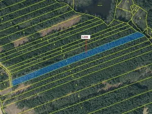 Dražba lesa, Chrbonín, 10189 m2