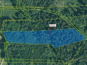 Dražba lesa, Stehlovice, 11078 m2