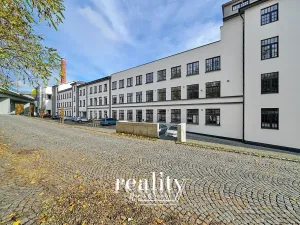 Pronájem bytu 2+kk, Jihlava, Křižíkova, 92 m2