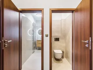 Pronájem bytu 2+kk, Brno, Masarykova, 62 m2