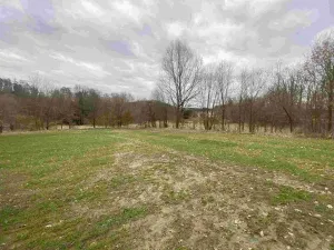 Prodej pozemku, Žinkovy, 4837 m2