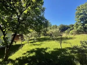 Prodej zahrady, Orlová, Dr. M. Tyrše, 1537 m2