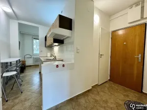 Pronájem bytu 1+1, Olomouc, Foerstrova, 40 m2