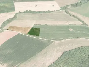 Prodej pole, Děkov, 11683 m2