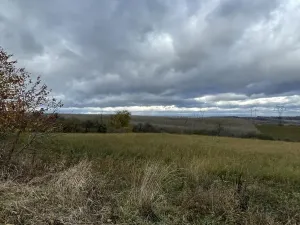 Prodej pole, Děkov, 11683 m2