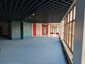 Pronájem obchodního prostoru, Jihlava, 273 m2