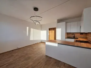 Prodej bytu 2+kk, Praha - Žižkov, Buková, 47 m2