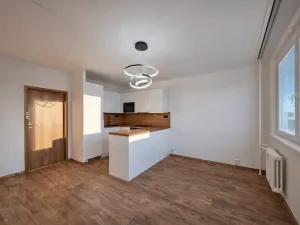 Prodej bytu 2+kk, Praha - Žižkov, Buková, 47 m2