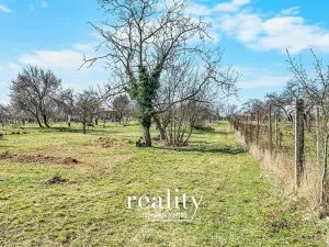 Prodej zahrady, Nový Šaldorf-Sedlešovice, 3000 m2