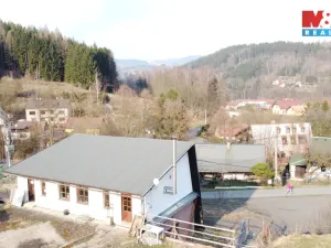 Prodej komerční nemovitosti, Plavy, 180 m2