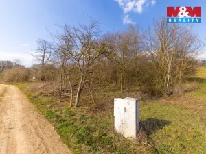 Prodej pole, Želešice, 19004 m2