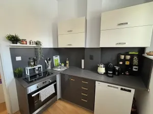Pronájem bytu 2+1, Teplice, Lípová, 80 m2